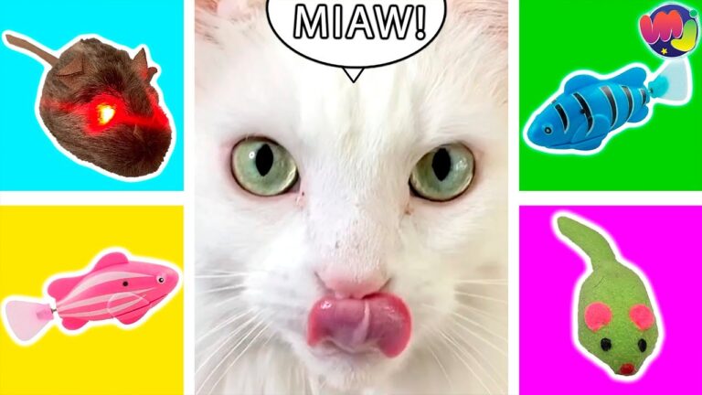 Diversi&oacute;n felina: Juegos ideales para tu gato