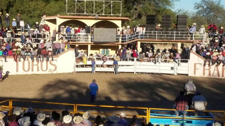 Gu&iacute;a Completa del C&oacute;digo Postal en San Luis Potos&iacute;
