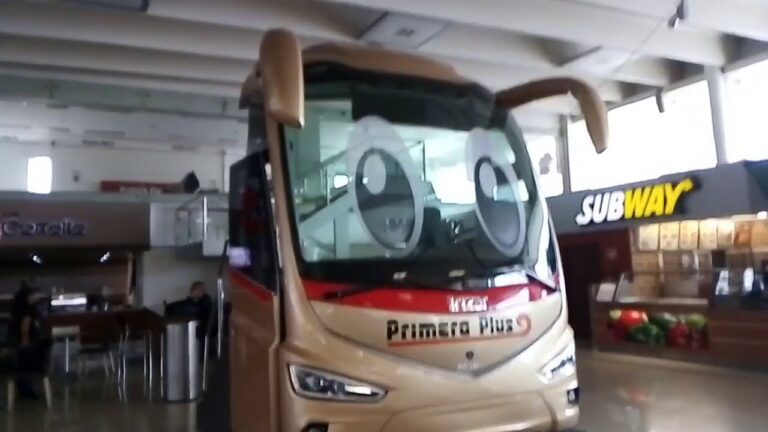 Primera Plus Ameca: Conectando Destinos con Comodidad
