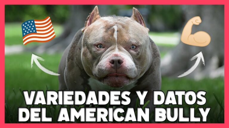 Tipos de Bullys: Identificaci&oacute;n y Prevenci&oacute;n
