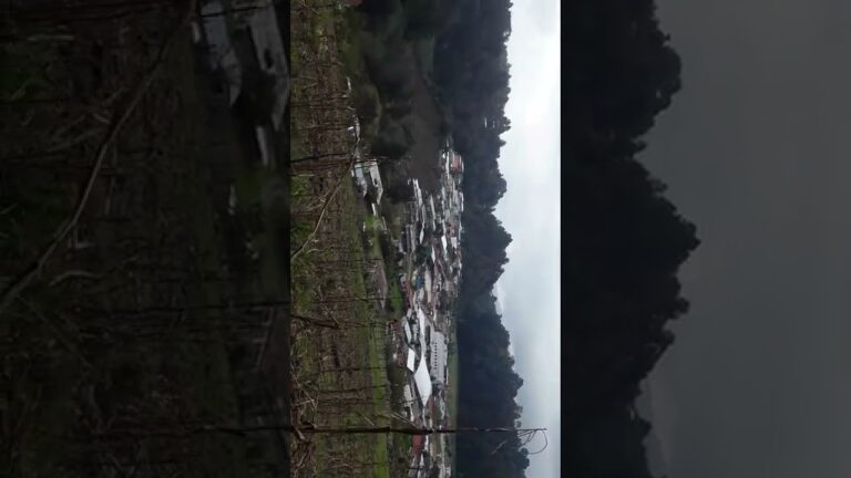Gu&iacute;a del C&oacute;digo Postal en Chiapas, M&eacute;xico