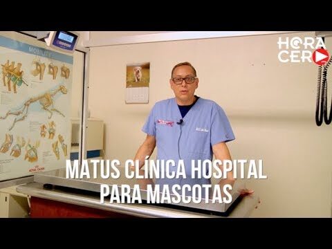 Matus Clínica: Excelencia en Hospitalización de Mascotas