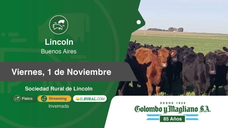 Lote 51 Lincoln: Innovación y Diseño en la Arquitectura Contemporánea