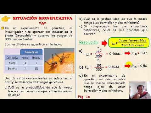 Optimizaci&oacute;n del Formulario M&uacute;ltiple de Pago FMP 1
