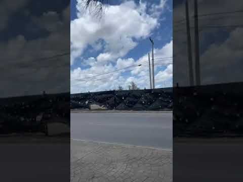 Walmart Divisi&oacute;n del Norte: Innovaci&oacute;n y Estrategias de &Eacute;xito