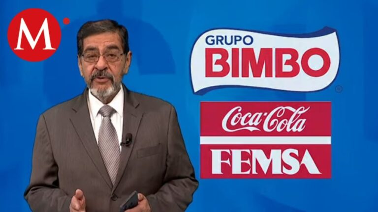 Ejemplos Prácticos de MIPYMES en Acción