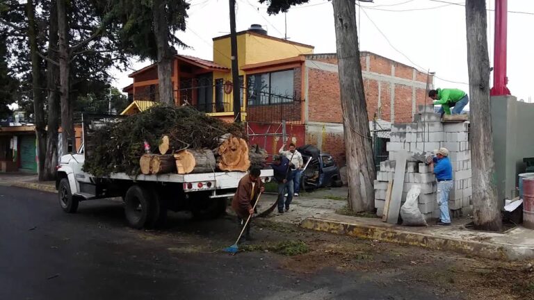 OXXO: Expansi&oacute;n y Impacto en Pueblo Xalpa