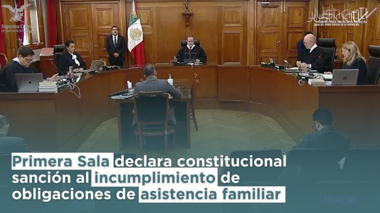 Optimizaci&oacute;n de la Asistencia Familiar en M&eacute;xico: Estrategias Efectivas