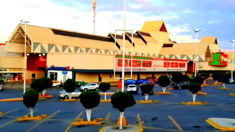Soriana Libertad Guadalupe: La Experiencia de Compra Ideal