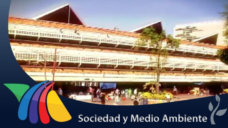 El Mercado Más Grande de Latinoamérica: Oportunidades y Desafíos