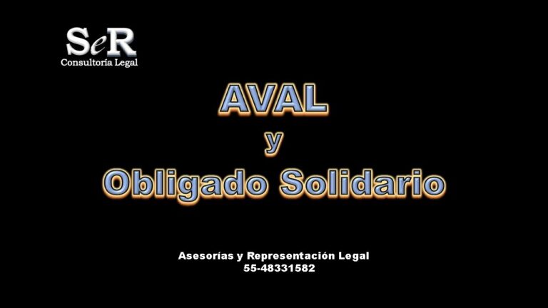 Datos Clave del Obligado Solidario