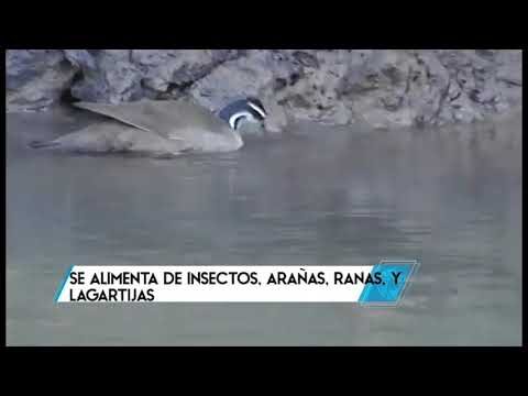 Eficiencia y Versatilidad del Cantil 135 en Proyectos de Construcci&oacute;n