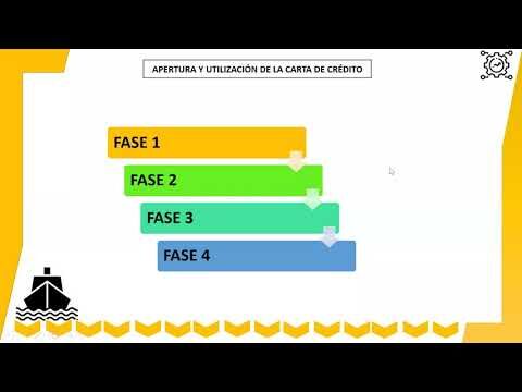Tipos de Carta de Cr&eacute;dito: Gu&iacute;a Completa y Optimizada