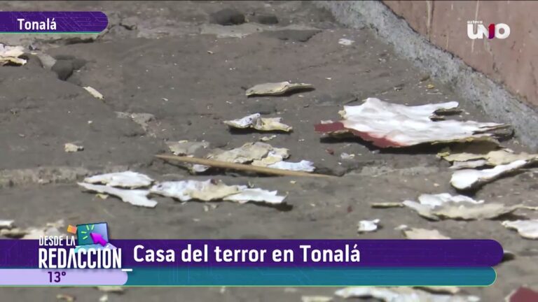 Explorando la Casa de la Cultura T&oacute;nala: Un Centro de Arte y Tradici&oacute;n