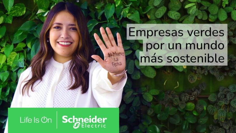 Empresas Verdes en M&eacute;xico: Innovaci&oacute;n y Sostenibilidad