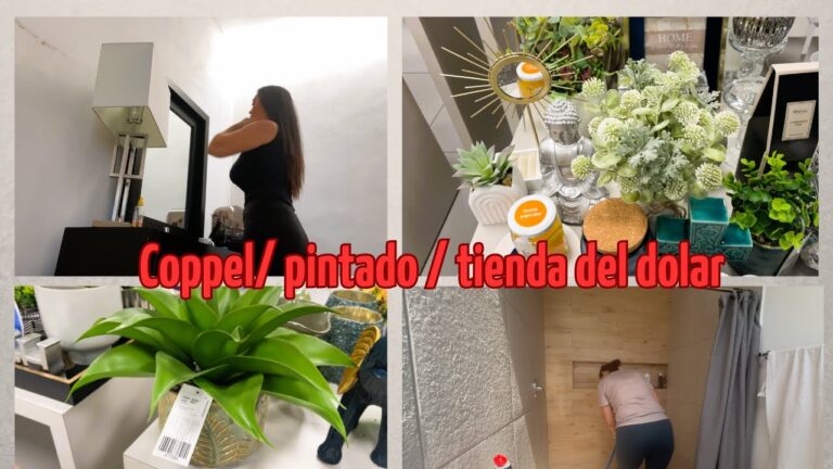 D&oacute;lar en Coppel: Impacto y Oportunidades