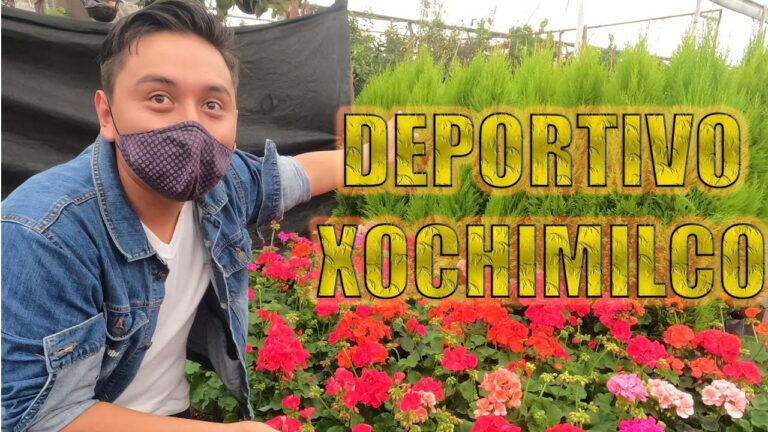 Horario de apertura de Xochimilco