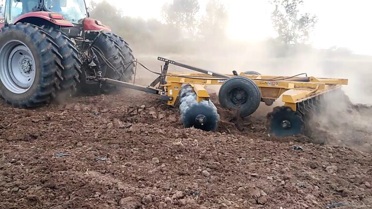 Agricola El Puma de Occidente: Innovación y Sostenibilidad en la Agricultura