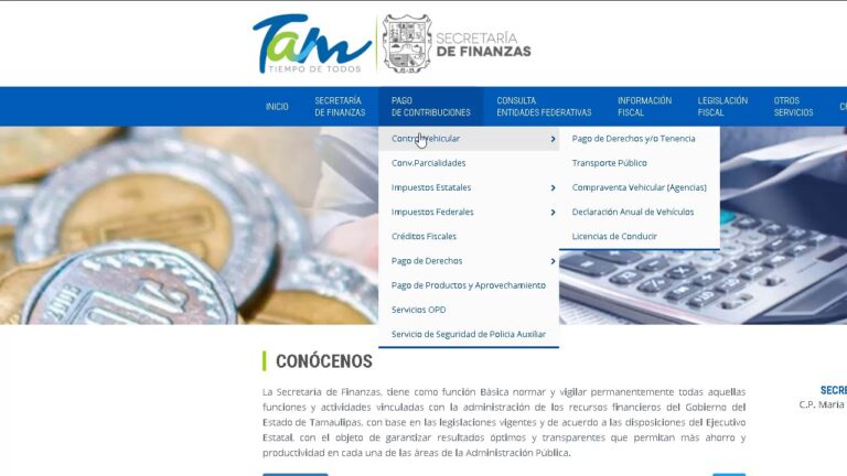 Optimización de la Tenencia en Finanzas Tamaulipas
