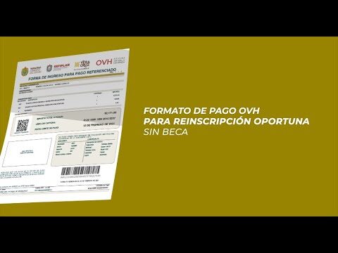 Banamex Alamos: Oportunidades y Desaf&iacute;os Financieros