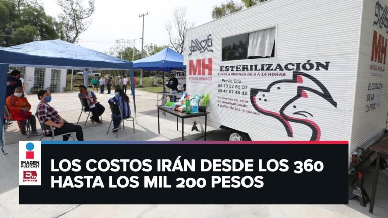 Crematorio de Mascotas: Encuentra el M&aacute;s Cercano a Ti