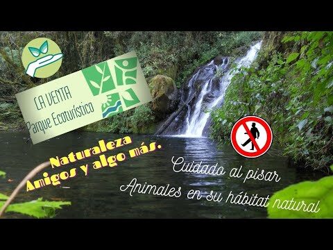 Farmacia del Ahorro en Huauchinango: Tu Salud al Mejor Precio