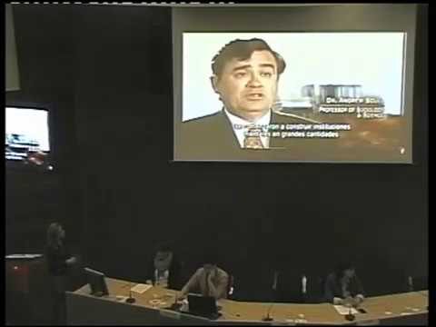 Sin&oacute;nimos de Mentalidad: Ampliando Perspectivas