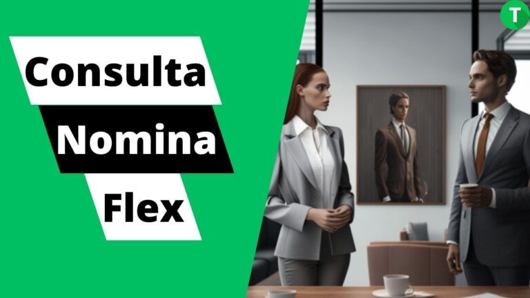 Optimizaci&oacute;n de la Consulta de N&oacute;mina Flex