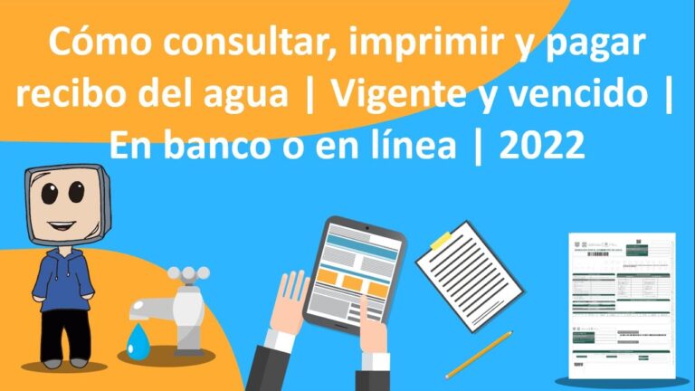 Japay: Tu Soluci&oacute;n de Pago en L&iacute;nea Eficiente