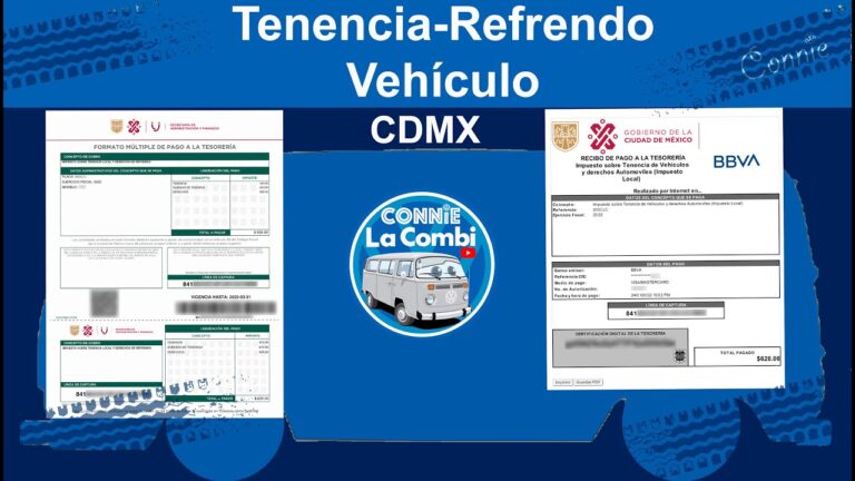 Cómo Pagar la Tenencia de un Carro en Línea