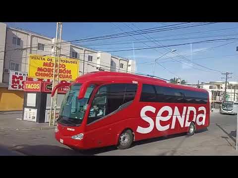 Mejoras y Servicios en la Central de Autobuses Escobedo